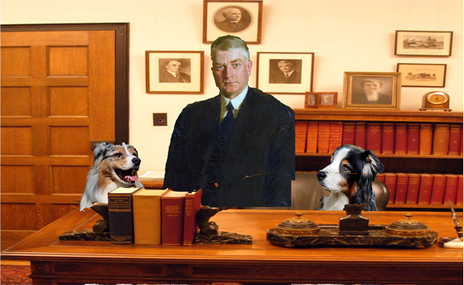 WilliamMayo.GaWy_650x400